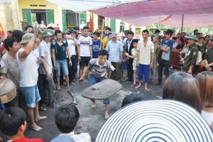 Đùng đoàng pháo… đất