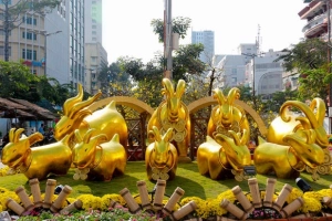 Đường hoa Tết Sài Gòn rực rỡ trong nắng xuân