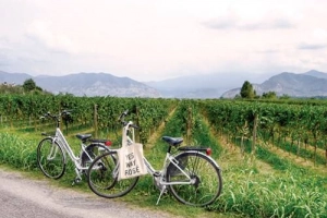 Franciacorta: Điểm đến mới trên bản đồ du lịch thế giới