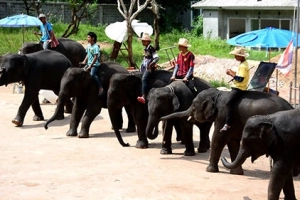 Gợi ý lịch trình 4 ngày trốn nắng ở Chiang Mai