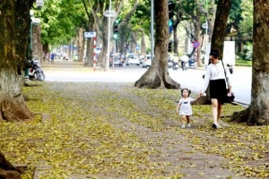 Hà Nội có một mùa thu thứ 2 nên thơ và lãng mạn