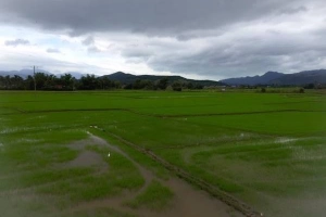 Hai ngày cuối tuần ở vùng đất &#8216;hoa vàng cỏ xanh&#8217;