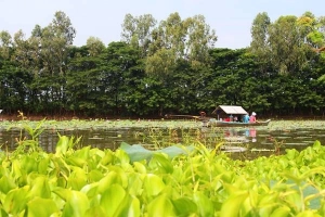 Hai ngày ở An Giang mùa nước nổi