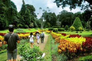 Hành hương đến ​kinh đô cuối cùng của vương triều Sinhala