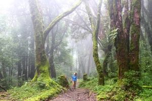 Hành trình trekking đường núi ở đất nước Nepal huyền bí