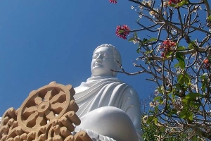 Hậu duệ cây Bồ Đề thiêng của Phật tổ trồng ở Vũng Tàu