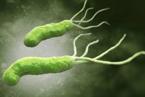 Helicobacter pylori và bệnh hắc võng mạc trung tâm thanh dịch