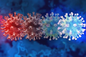 Hiện đã có bao nhiêu biến chủng virus sars-cov-2?