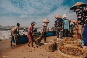 Hình ảnh bình dị trên cảng cá Bà Rịa - Vũng Tàu