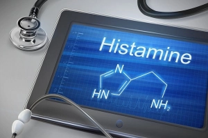 Histamin gây dị ứng có trong thực phẩm nào?