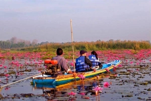 Hồ hoa súng đẹp như tranh ở Udon Thani, Thái Lan