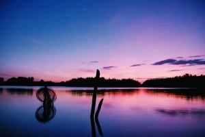 Hồ Nam Phương - chốn dừng chân bình yên cho chuyến du lịch Bảo Lộc