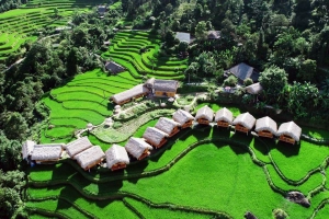 Hoang Su Phi Lodge, homestay ngắm mùa lúa đẹp xuất sắc ở Hà Giang