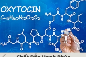 Hoạt động kỳ diệu của &quot;hormone tình yêu&quot;