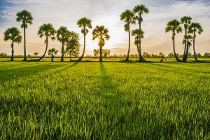 Hỏi đáp thắc mắc kinh nghiệm du lịch An Giang