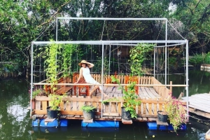 Homestay Cánh Đồng Hoa - Springfield Cottage, điểm đến bình yên ở ngoại ô Sài Gòn