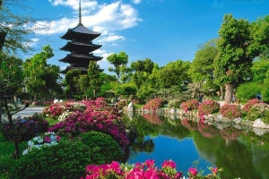 Hướng dẫn di chuyển tới những điểm đến tuyệt nhất của du lịch Kyoto