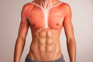 Hướng dẫn hoàn chỉnh về cấy ghép Pec