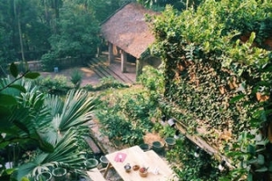 Jungle House Bắc Ninh, điểm đến cho khách thuê trọn gói để tụ tập bạn bè ngay gần Hà Nội