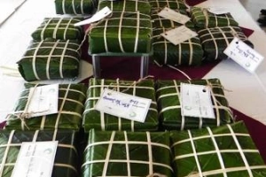 Khách Tây trổ tài gói bánh chưng ở Mũi Né