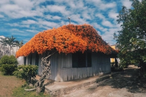 Khám phá Bảo Lộc - viên ngọc thô đẹp đẽ