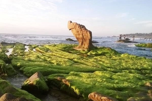 Khám phá Cổ Thạch - Vùng đất hoang sơ của du lịch Bình Thuận