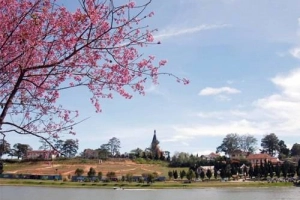 Khám phá Đà Lạt - Cam Ranh - Phan Rang trong 3 ngày nghỉ Tết