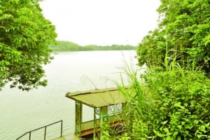 Khám phá “bạch tuộc” Ao Châu