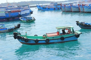 Khám phá những bí ẩn ngọt ngào trên đảo Phú Quý