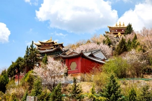 Khám phá những điểm đến hấp dẫn khi tới Lệ Giang - Shangrila