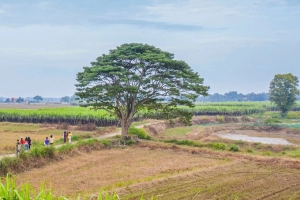 Khám phá những nơi lên phim &#8216;Mắt biếc&#8217;