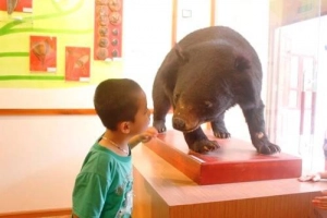 Khám phá thiên nhiên giữa lòng Hà Nội