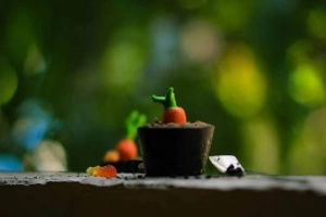 Khởi đầu tuần mới, xơi ngay 5 món ăn vặt độc đáo