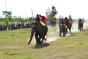 Không thể bỏ qua lễ hội đua voi ở Bản Đôn năm 2015