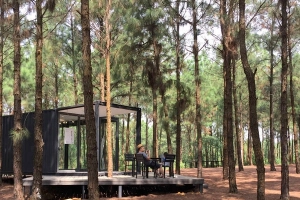Khu rừng thông bên hồ - điểm chơi cuối tuần gần Hà Nội