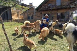 Khu vườn thú cưng ở Đà Lạt