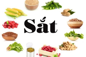 Khuyến cáo của WHO: Bổ sung sắt cho trẻ dưới 6 tuổi
