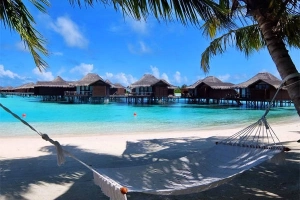 Kinh nghiệm cho người đi du lịch Maldives theo kiểu bụi