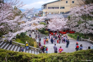 Kiyomizu Dera - chùa cổ nổi tiếng nhất Kyoto