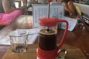 Kopi luwak - &#8216;cà phê đắt nhất thế giới&#8217; ở Bali