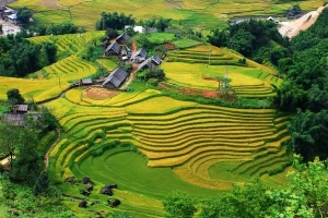 Kyo York liệt kê 13 điều khiến du khách &#8216;ngại&#8217; du lịch Việt Nam