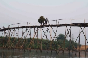 Lắc lẻo qua cầu tre Cẩm Đồng