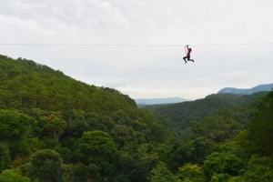 Làm Tarzan ở thác Datanla