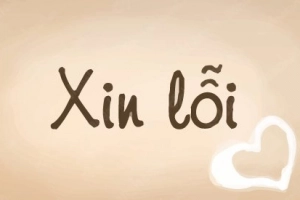Làm thế nào để xin lỗi một cách chân thành và hiệu quả?