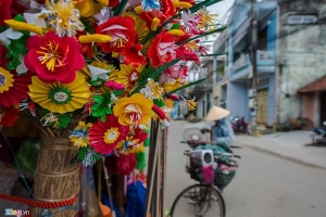 Làng hoa giấy 400 tuổi ở Huế đón Tết