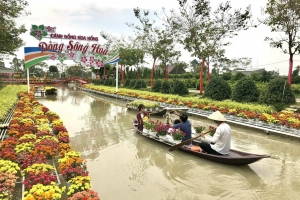 Làng hoa Sa Đéc – Sắc màu rực rỡ quanh năm trên đất Đồng Tháp