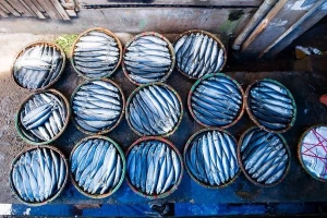 Làng nghề hấp cá ở Quy Nhơn