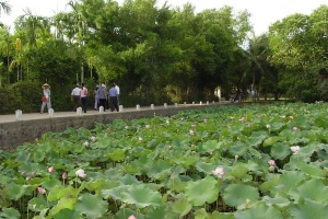 Làng Sen - điểm đến không thể bỏ qua khi du lịch Nghệ An