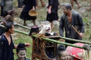 Lễ hội kiệu chó của dân tộc Miao