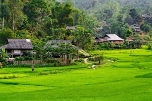 Lên Sơn La ngắm Vân Hồ - &#8216;người con gái đẹp&#8217; vùng Tây Bắc